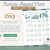 48 Boys Exercise Reward Chart Thumbnail-04